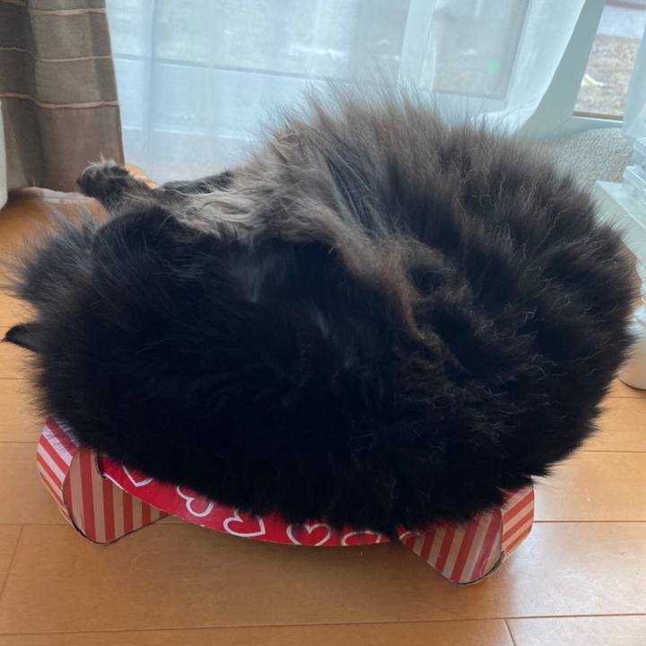 Dbdc075e ea56 4aea 94bb 4d7fc1a628a7 1576229983169