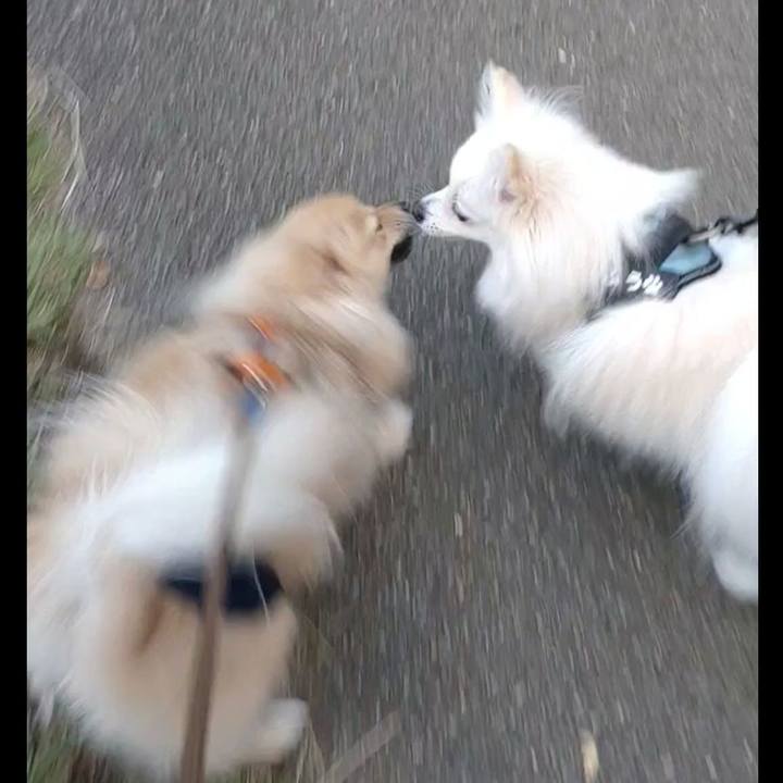 Dbdc0a28 8a2e 4645 a30b a95b5dedac75 1761698025286