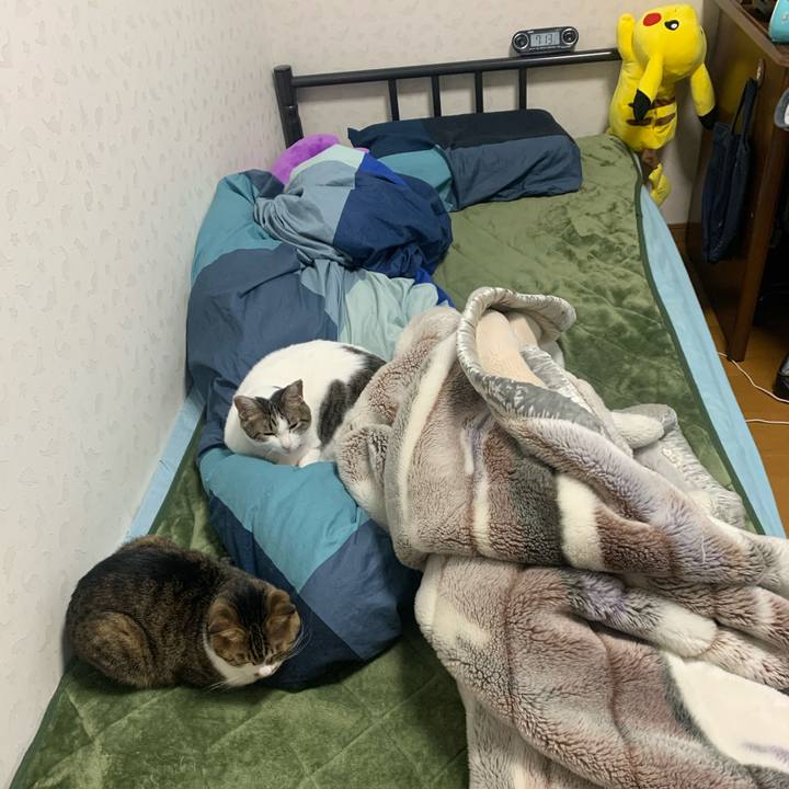 Dbdc89b7 39fa 48f7 ad06 27f7c37419da 1581804860489