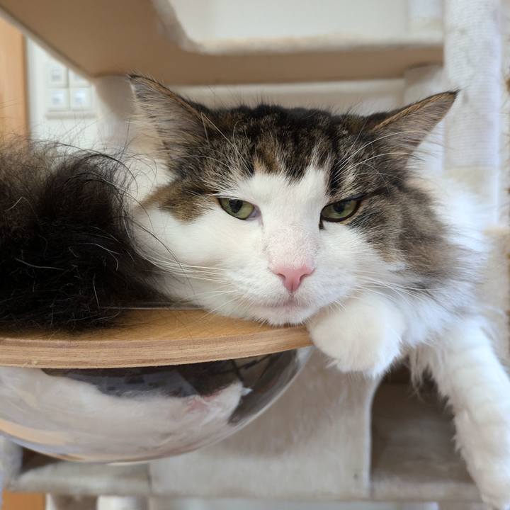 Dbdcb762 9135 4e43 8368 e5080bd474d0 1762517230975