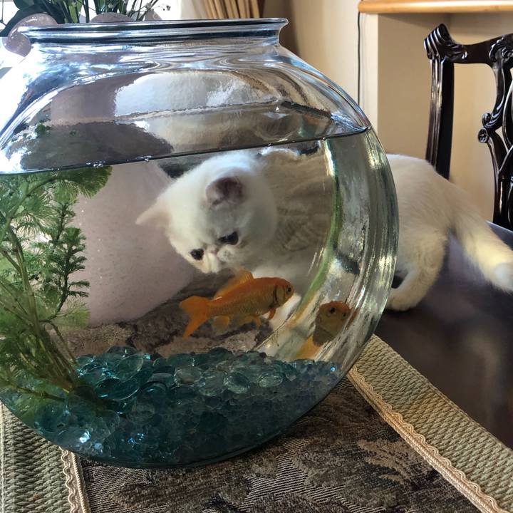 Dbdcb7d8 bbaf 4010 a6ce 4daffcb90151 1546044219703