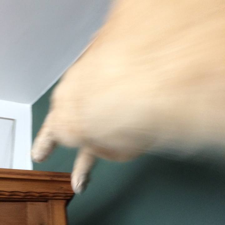 Dbdcd919 3dab 4407 88a5 59b1a0869b55 1539806680741