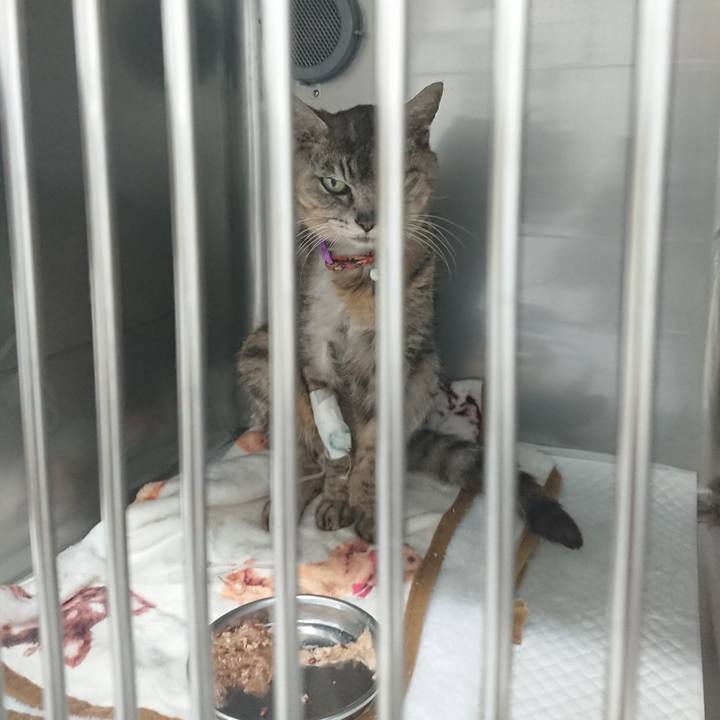 Dbdd0d7d 727f 4463 a023 f2dd4dce56b7 1597743306634