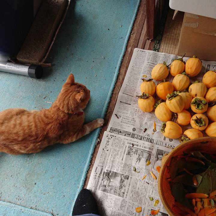 Dbdd872c cf2c 4de4 859d a28bb6c24467 1572146793780