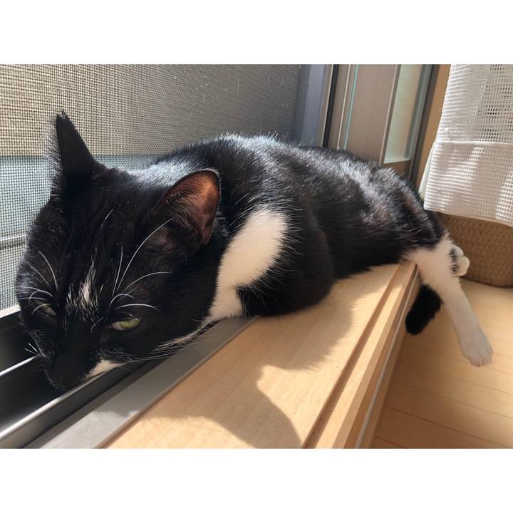 Dbdda32d 5214 4b27 b6d3 322bd9ce108b 1617017406049