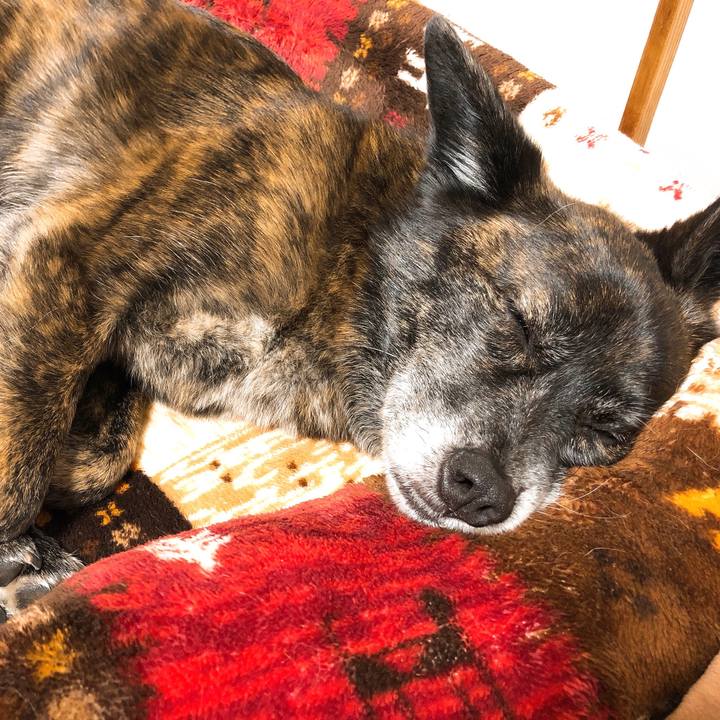 Dbdda67e 865c 46b8 9383 2c45aac0aeb9 1586957193549