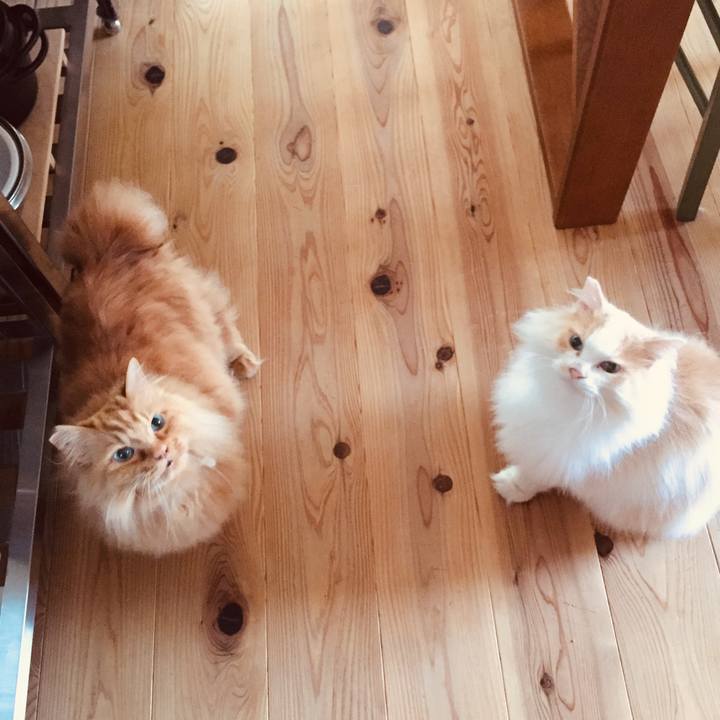 Dbddb089 20b1 4ddb bbc1 974b929dcd18 1592777798308