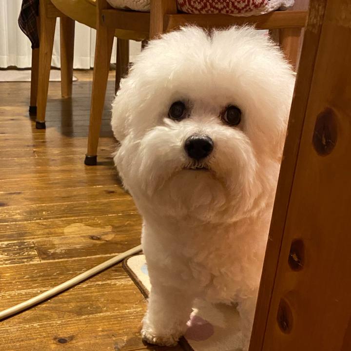 Dbddbfc5 c856 4f06 b5f1 6608f95cf1af 1613466475824