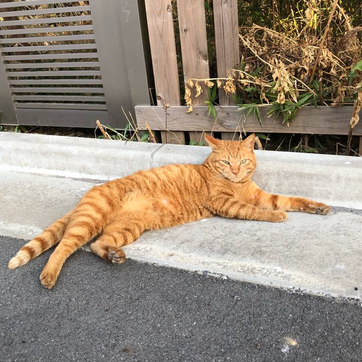 Dbddcc26 6ef6 4602 a967 611f6d8a6ea5 1521103685403