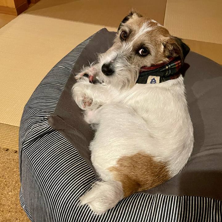 Dbdddb0f 6604 4dc5 bd12 57f9984f5370 1677671185685