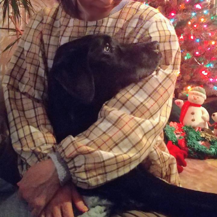 Dbde740a 0740 4a3b a418 a6812715ae85 1735202538345