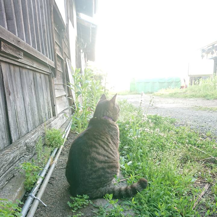 Dbdea026 51f3 41a3 97a9 818cdf61b5e0 1653684779826