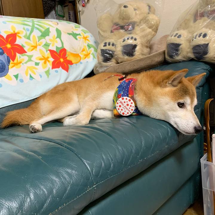 Dbdec3c7 8967 40ae b591 5ecfefb2e50a 1632478907510