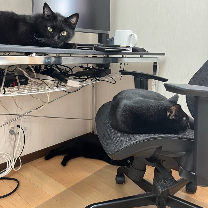 Dbdec6f4 6f9b 4a55 a06e dd98ed0f3138 1692574946697