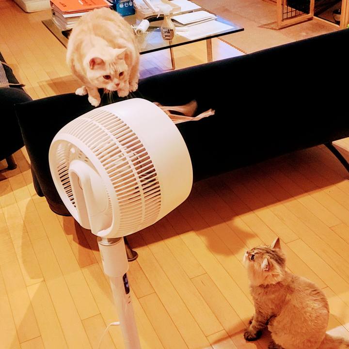 Dbdecff7 8300 473b b338 6db7117d03d6 1723022763408