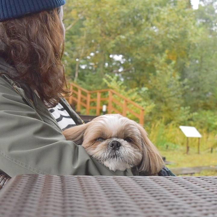 Dbdef661 4a53 4745 bdc9 a9dbf620ae65 1508232048585