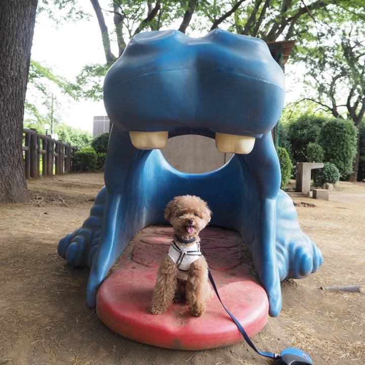 Dbdefb60 71e0 4121 b803 522a06ad0c2e 1527318155888