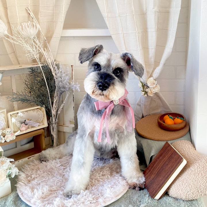 Dbdefbc3 9d10 4c8e 9dd9 dfe964a1a348 1708156620864