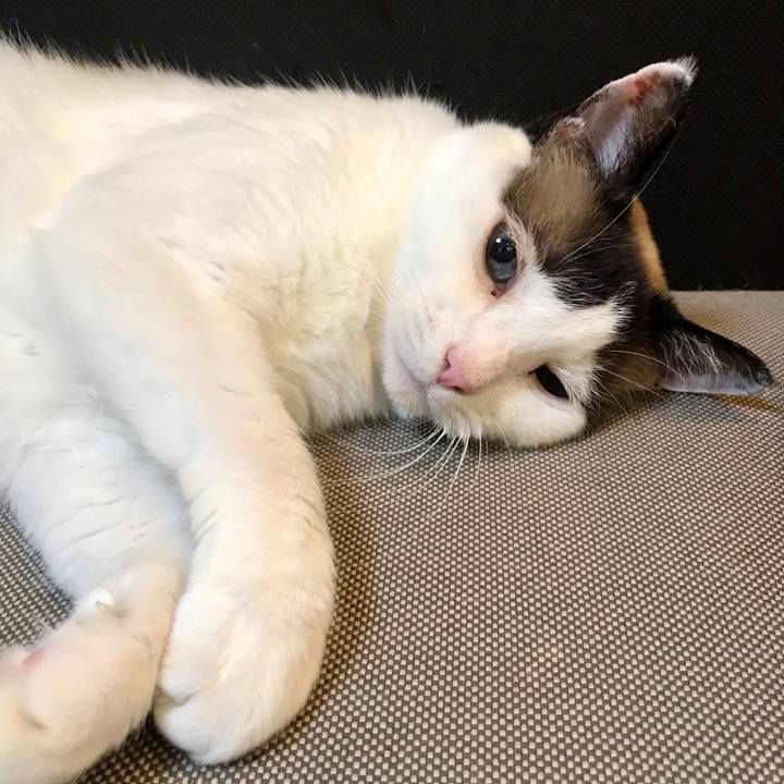 Dbdf0258 337d 48be a9ec 63d5ab780f4d 1621425026792