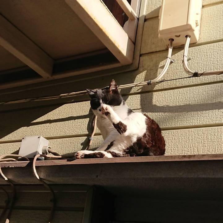 Dbdf0f80 d422 429e 9197 e99446b1e7ea 1551741368017