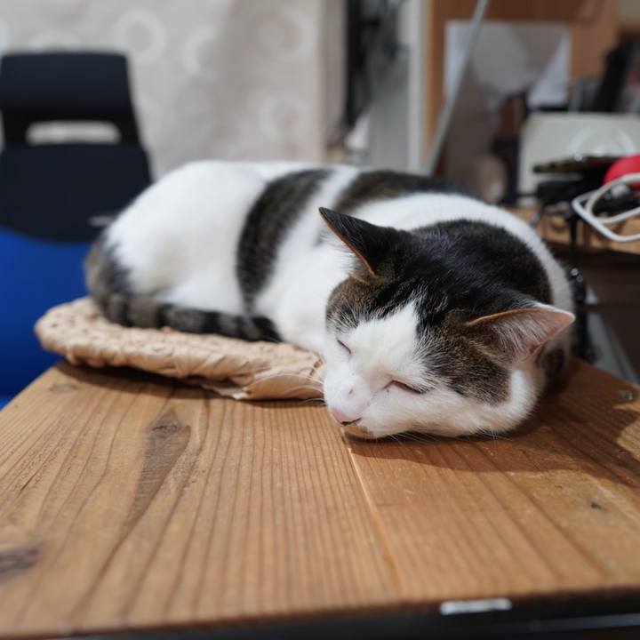 Dbdf83c3 8858 4e17 ba7f de41e4f2a80b 1589500086392