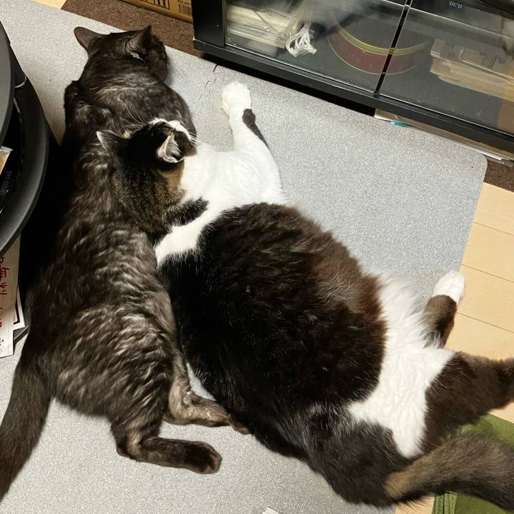 Dbdf9e05 75dd 4c3b 99c6 180e912fe650 1719929396250