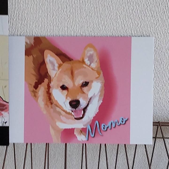 Dbdfc331 a829 4148 bc07 f5881a3d5afb 1659101089485