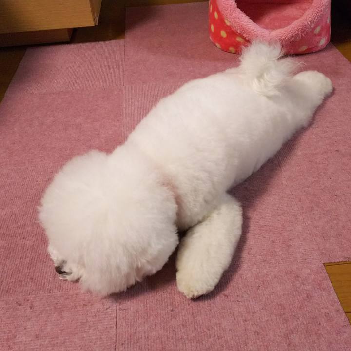 Dbe01159 6650 4b71 877c 8c9ea67ccc74 1519724861336