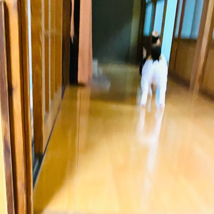 Dbe0274e a25f 4f84 8da8 d24439494615 1673178095569