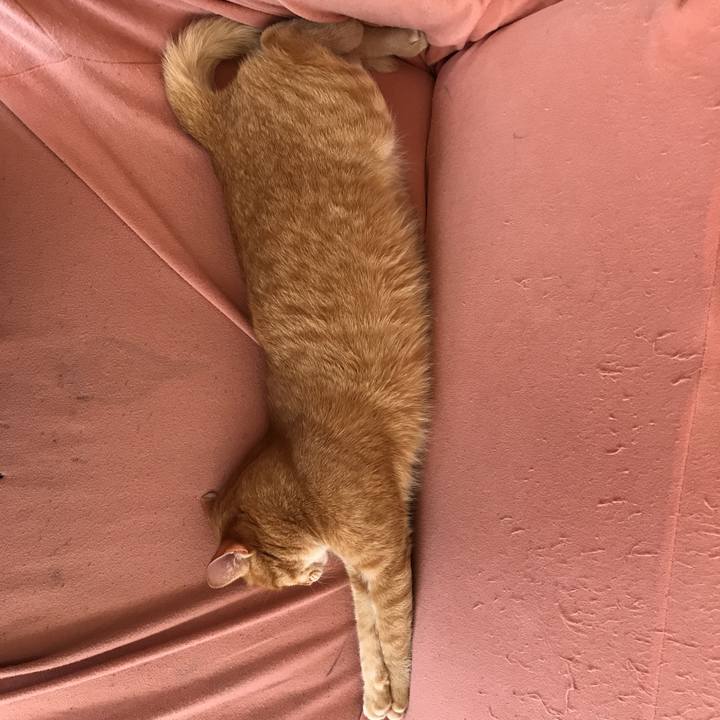 Dbe04311 5168 4eb2 bf78 b954e25f8a3c 1526017424978