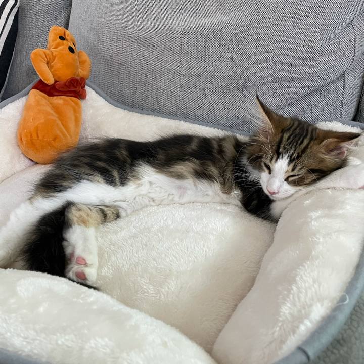 Dbe04b34 89c5 4a0c a4a3 7f46fba2f0cb 1632644072822