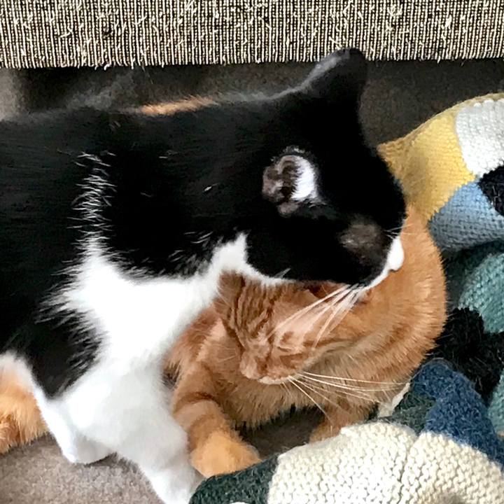 Dbe05d81 3703 4eca b9f2 9a07a2be400d 1550465176852