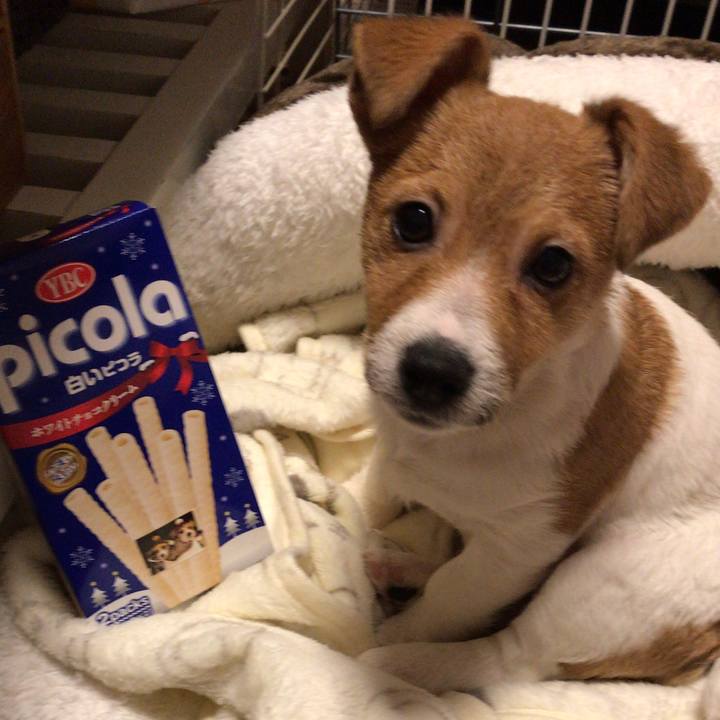 Dbe064a7 37d0 4149 a1db 6d7f1a6c930c 1545975079659