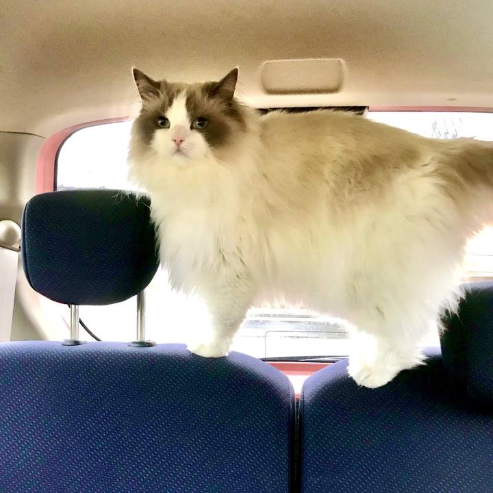 Dbe0708a 38b8 4435 8a2c 8c4b15a6497d 1623671178819