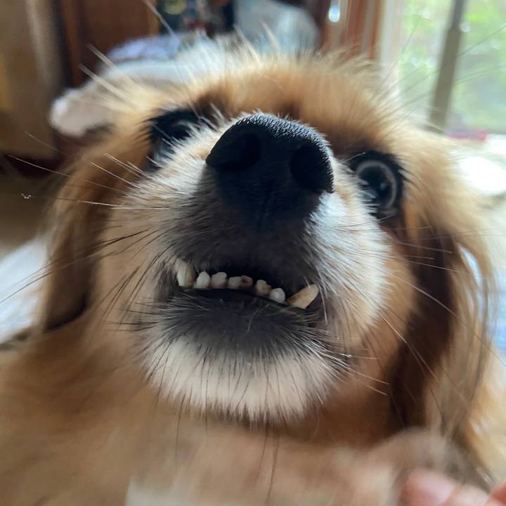 Dbe08140 2c93 4b46 b38d 7ac360a329f7 1629236364829