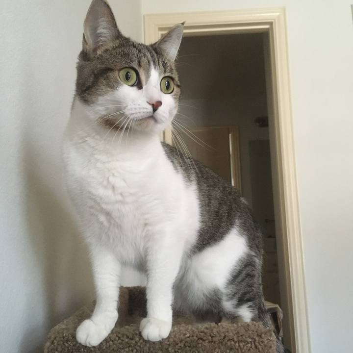 Dbe0e695 597e 438c 88f8 4b449ff60712 1645458994164