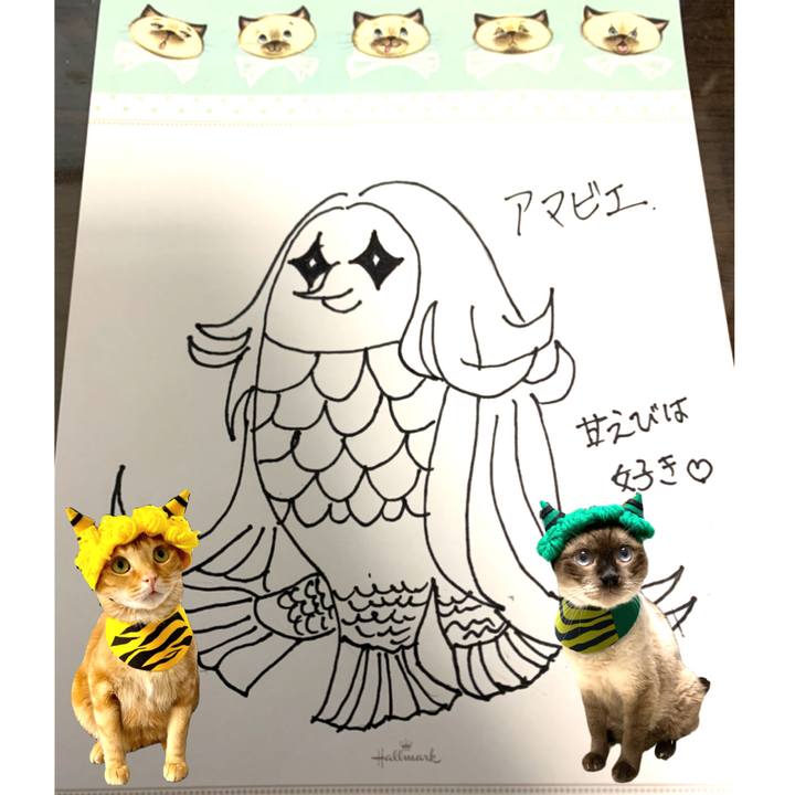 Dbe0fb32 ee43 458e b356 6515acf50b9e 1584008672665