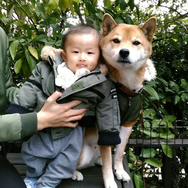 Dbe0feb1 6b72 4507 9ea9 65ef6fd647f3 1545459372415