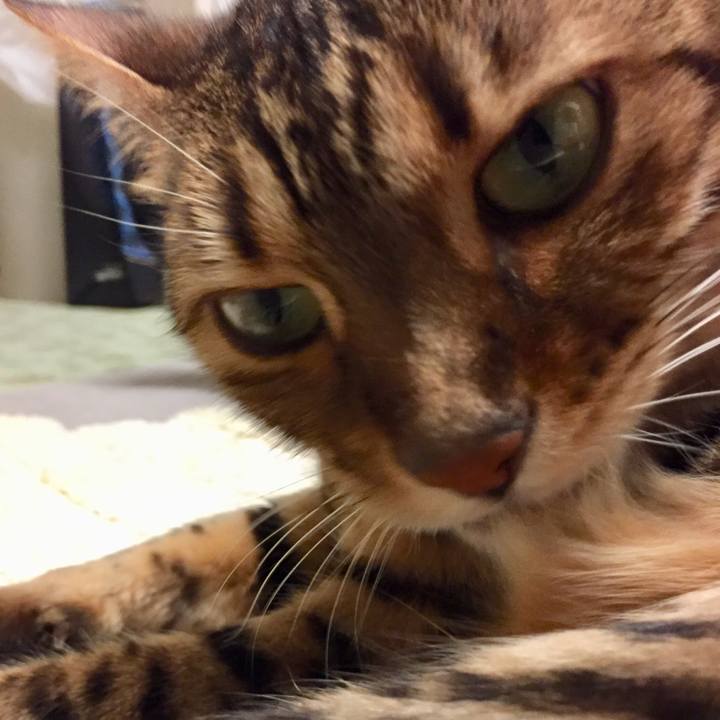 Dbe12c77 927b 4640 931a b6d4120db702 1512868452724