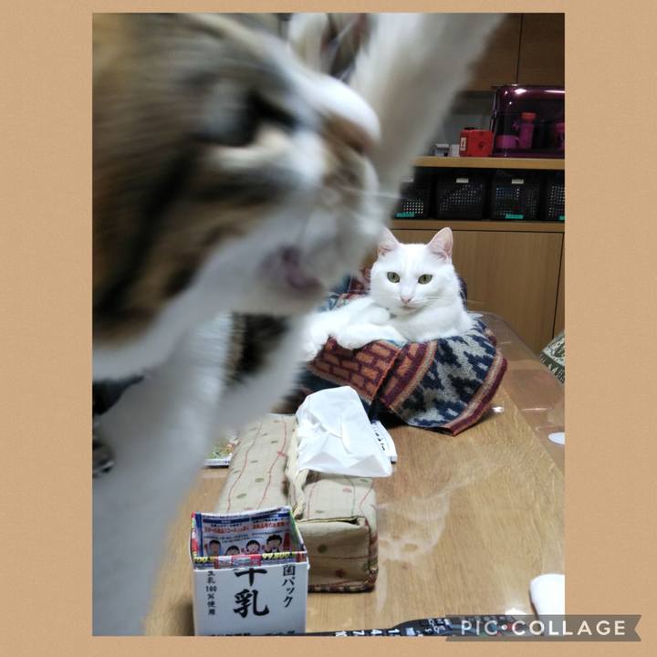 Dbe1362e d544 4ef7 9d75 d37779110558 1663976085353