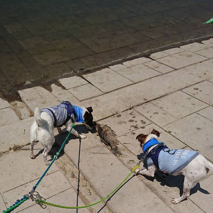 Dbe1556a 784e 45e5 8ace d419b0afb955 1558760455510