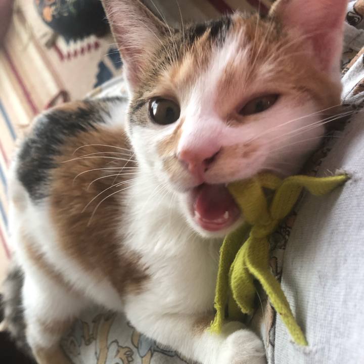 Dbe16be9 6810 4dfc aa88 505d607d13bd 1567825264652