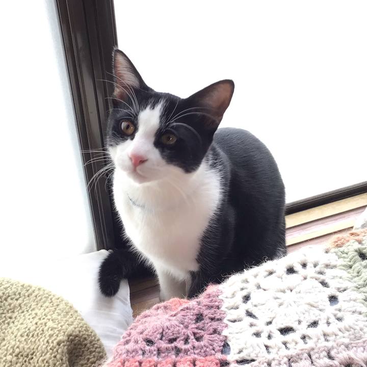 Dbe16e76 d417 456b a776 01b21a10ae5a 1635398725856