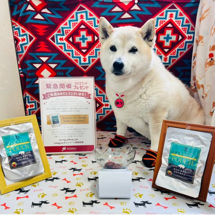 Dbe17e0d 5744 4842 a273 740ade7f628b 1740204624438