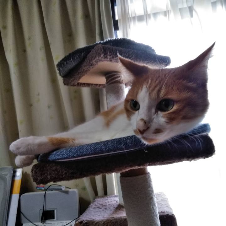 Dbe1b550 6f05 44ea bc31 d90094117064 1583881598227