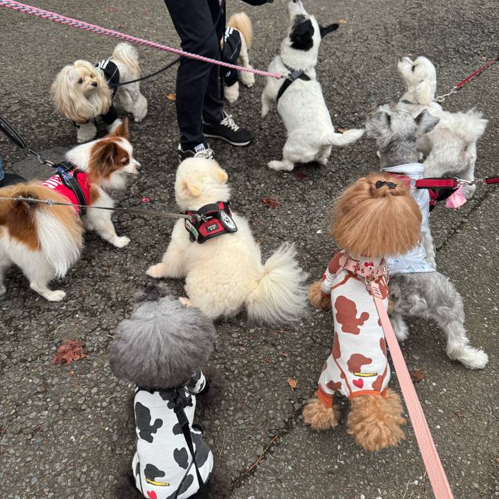 Dbe1c585 0a5e 419a af68 5ca596152f30 1760744427530