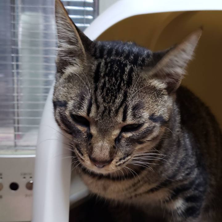 Dbe1e868 46a5 448a 8344 fabf96d67071 1544279771630