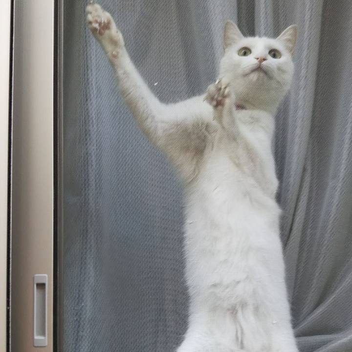 Dbe1eeab 832a 498b 9d90 f780a0f3d8a5 1628037584707