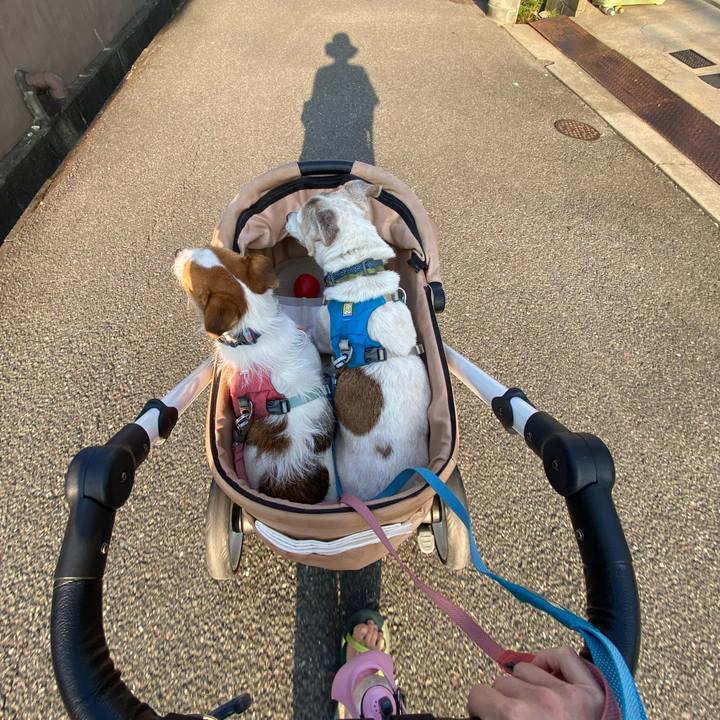 Dbe20135 8a16 4c45 84e3 d940df7b15bf 1725666981178