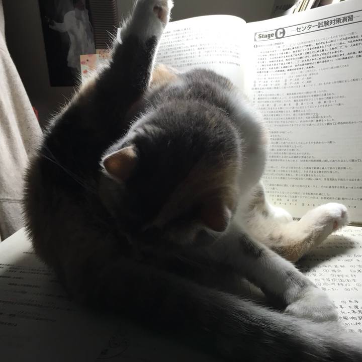 Dbe20f85 f4af 42f7 969c e0954298dc67 1537783271549